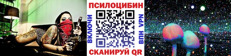 Купить где  Рыбное  Галлюциногенные грибы прущие грибы 